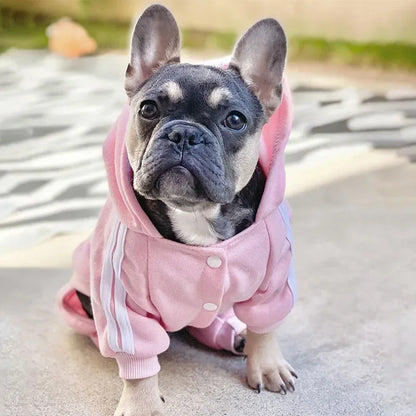 Pet Clothes  Dog  Pet Jumpsuit